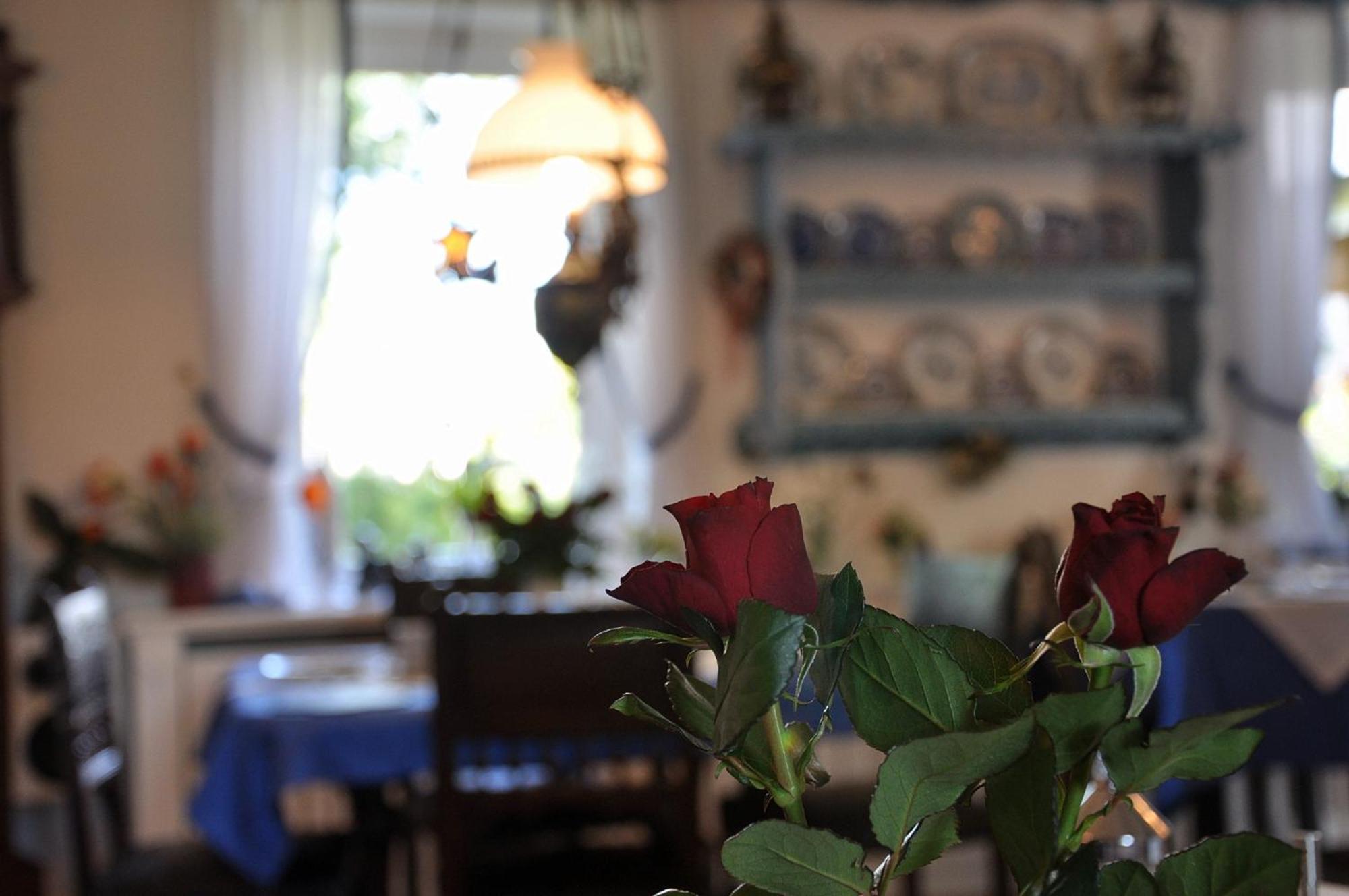 Inselhotel Arfsten Wyk auf Foehr Luaran gambar